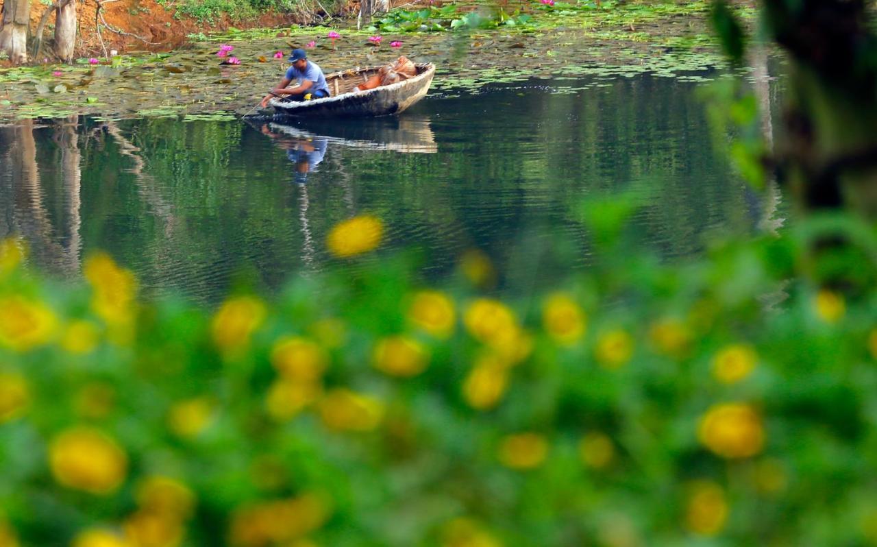 Vista Del Lago Ambalavayal Экстерьер фото